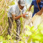 Environmental Program